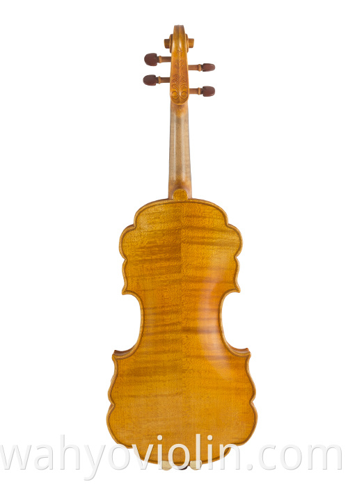 Jujube Parts Laciness Violin